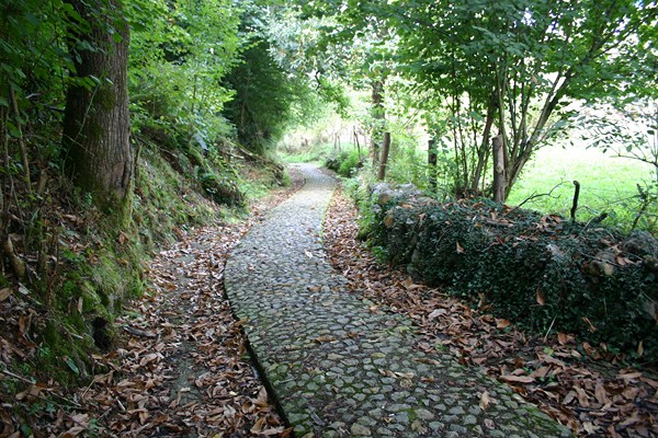 Paisaje del Camino de Santiago