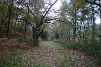 
			Paisaje en Las Regueras
		