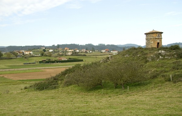 Palomar en Biedes