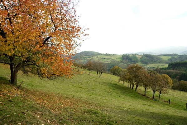 Paisaje de un valle en Soto