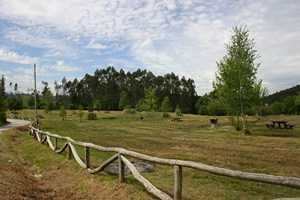 Área Recreativa de Bolgues
